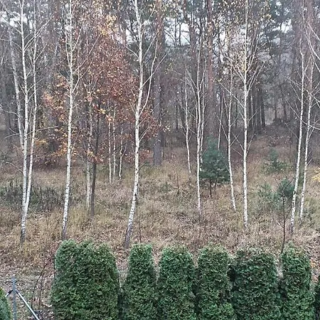 Zielona Ostoja Apartment Borne Sulinowo