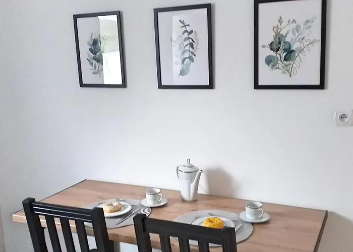 Zielona Ostoja 公寓 *